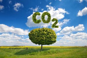 C02 sustainability tree in the ESG world