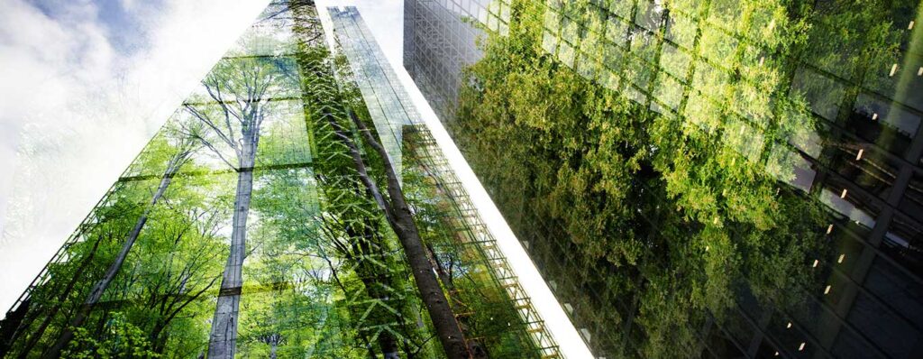 Business building and the environment 1