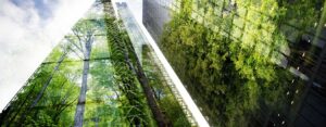 Business building and the environment 1