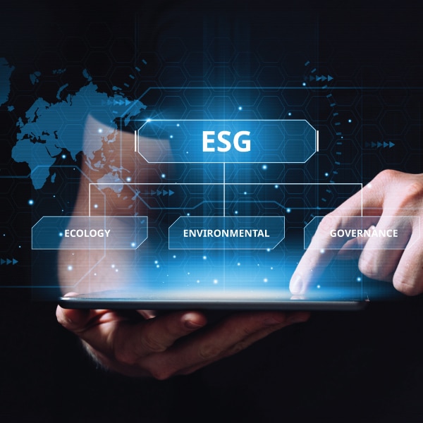 Exploring the New Benchmark ESG Director