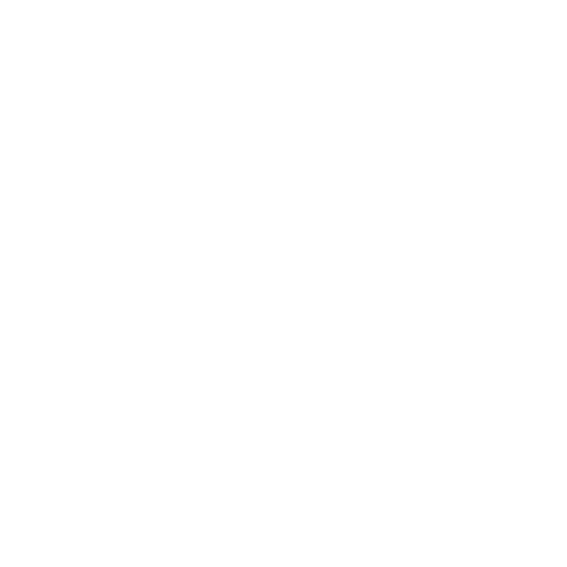 White Reg Auditor Icon