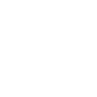 Safety manager Icon