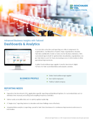 Advanced Business Insights with Tailored Dashboards & Analytics