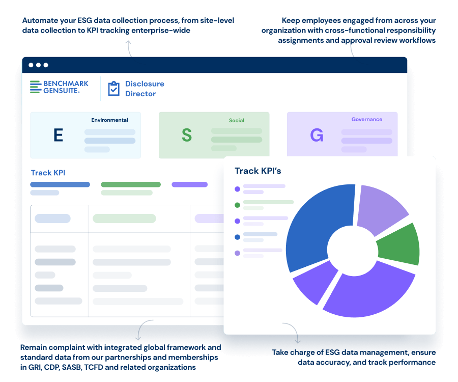 Screen illustration of Disclosure Director software