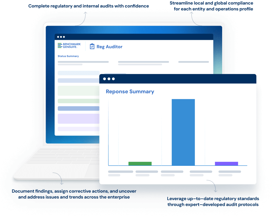 Screen illustration of reg auditor software