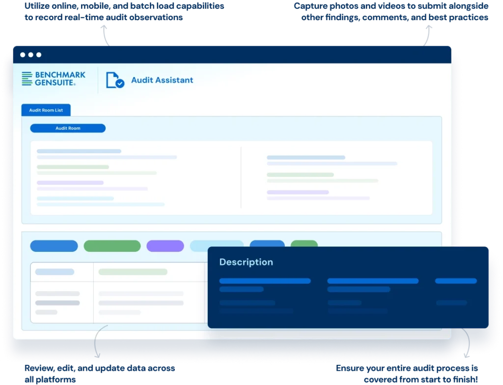 Audit Assistant