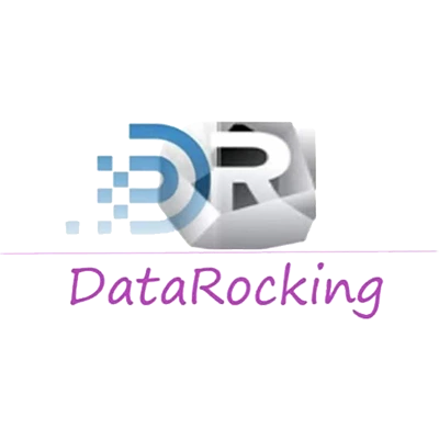datarocking logo