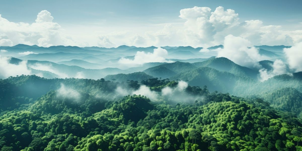 Decarbonisation-Offering