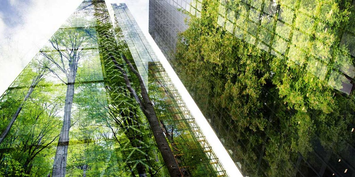 Business building and the environment 1