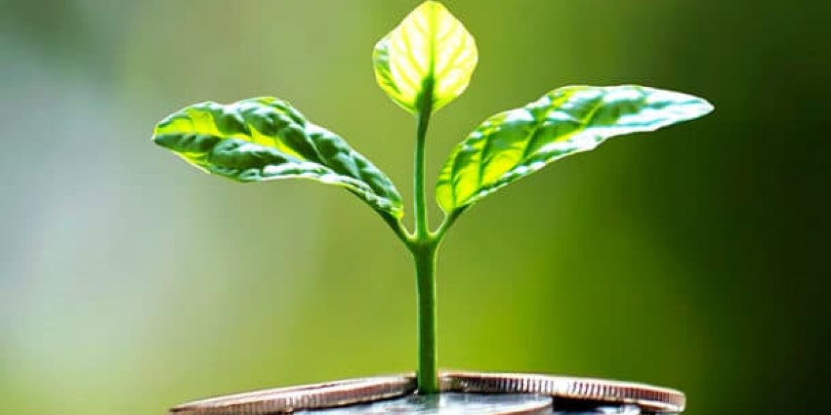 sustainability plant and investing