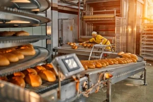 food-queality-safety