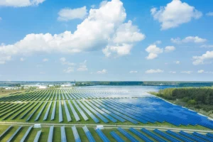 renew-energy-case-study