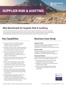 Supplier Risk & Auditing